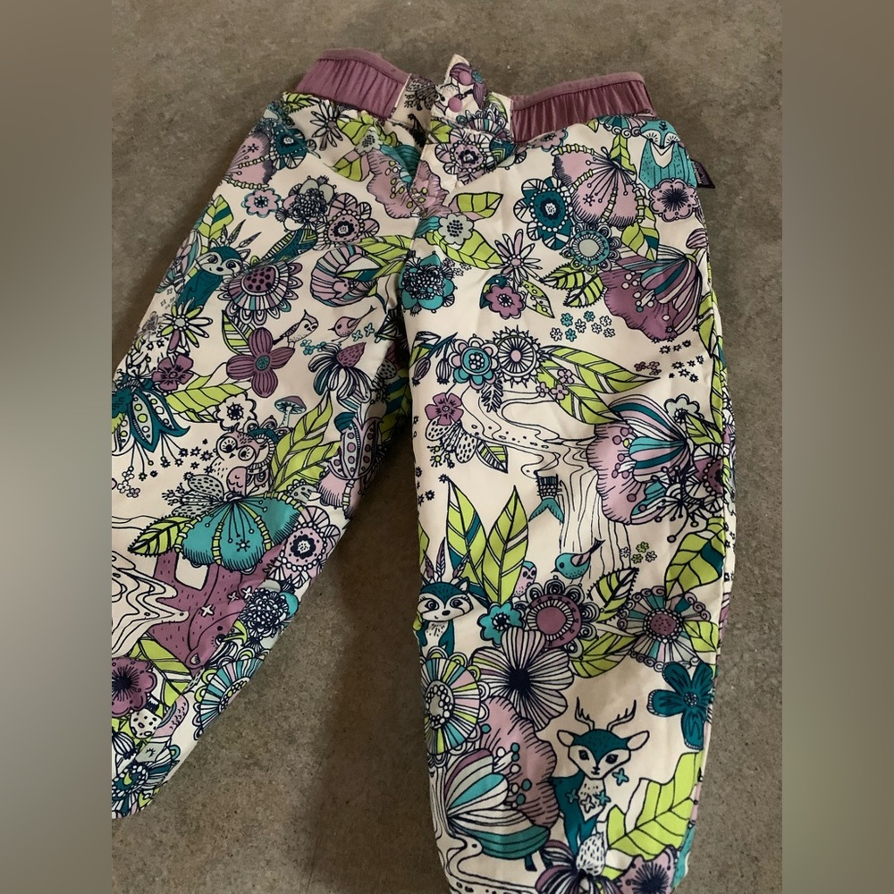 Patagonia girls snow pants